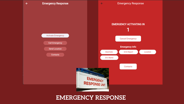 CardioShield Display 12